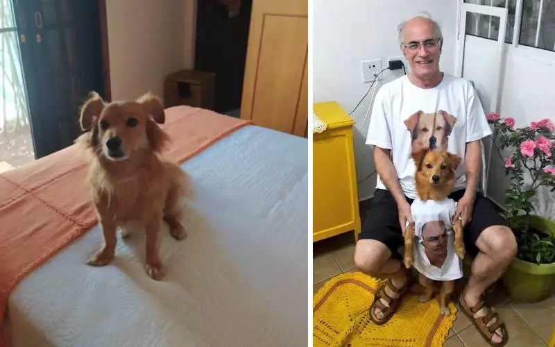 Idoso dizia que não queria saber de cachorro, mas se rende aos encantos de um amigo peludo velho-mal-humorado-se-rende-e-adota-um-cachorro