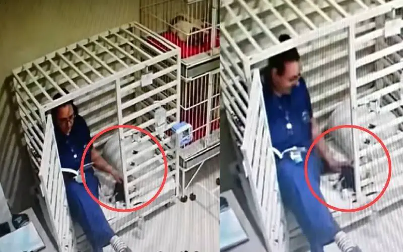 VÍDEO: Veterinária é flagrada lendo histórias para cachorrinha hospitalizado veterinaria-le-historias-para-caes-internados
