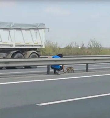 Veterinário arrisca a própria vida para salvar a vida de um cachorro abandonado na estrada veterinario-salva-a-vida-de-cachorro-abandonado