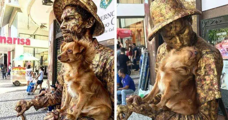 Cadelinha ajuda seu pai humano trabalhando como "estátua viva" e encanta a todos cachorra-faz-estatua-viva-com-o-tutor