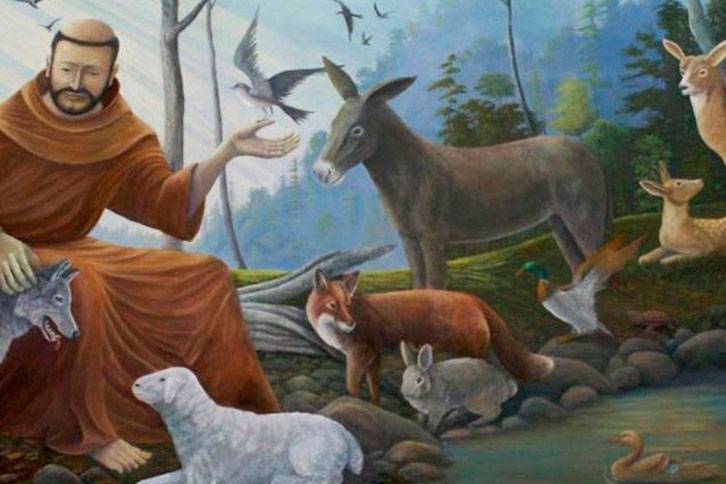 Cachorrinho vai à igreja receber a bênção de São Francisco de Assis cachorrinho-vai-a-igreja-receber-a-bencao