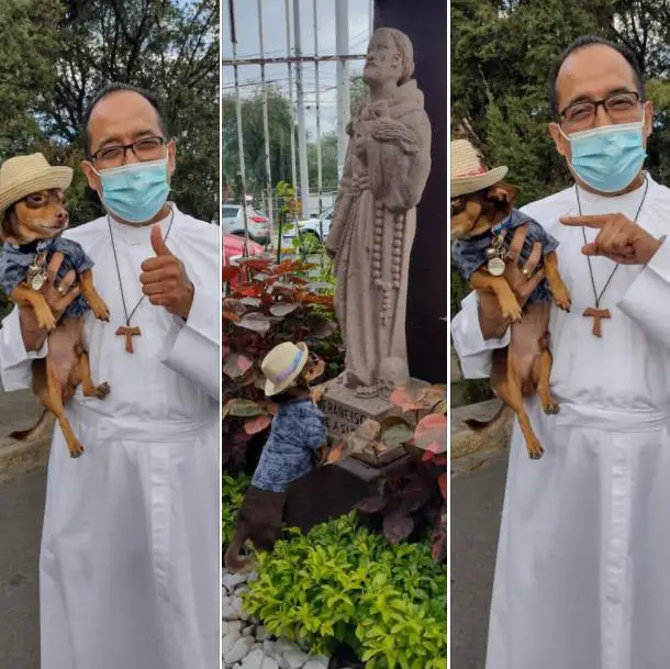 Cachorrinho vai à igreja receber a bênção de São Francisco de Assis cachorrinho-vai-a-igreja-receber-a-bencao