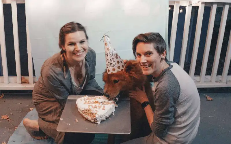 Cachorro doente escondido debaixo do carro, recebeu amor de uma família que conseguiu transformá-lo cachorro-escondido-e-doente-e-familia-conseguiu-transforma-lo