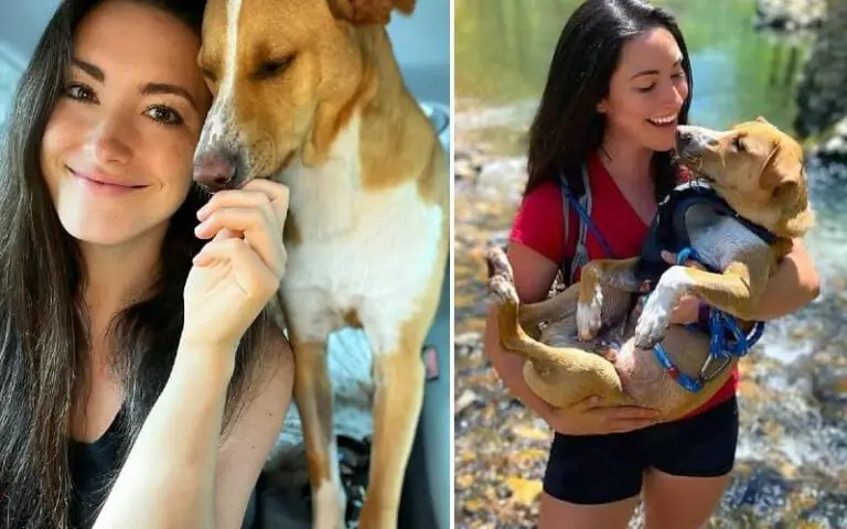 Mulher encontra cachorrinho ferido na trilha, adota-o e agora eles são inseparáveis