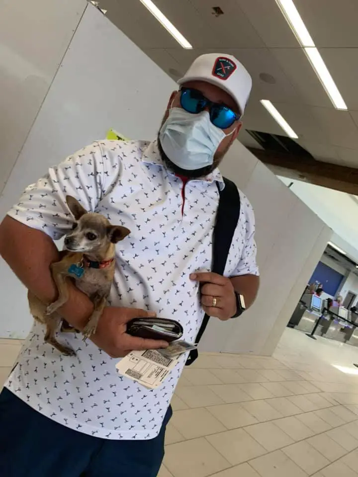 cachorro-se-esconde-na-mala-para-viajar-com-os-tutores