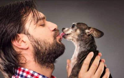cachorros-podem-beijar-os-tutores-na-boca