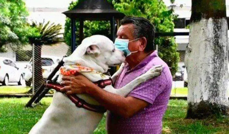 Uma cidade inteira se junta para comemorar o retorno de um cachorrinho desaparecido cidade-colombiana-faz-festa-para-comemorar-o-retorno-de-cachorro