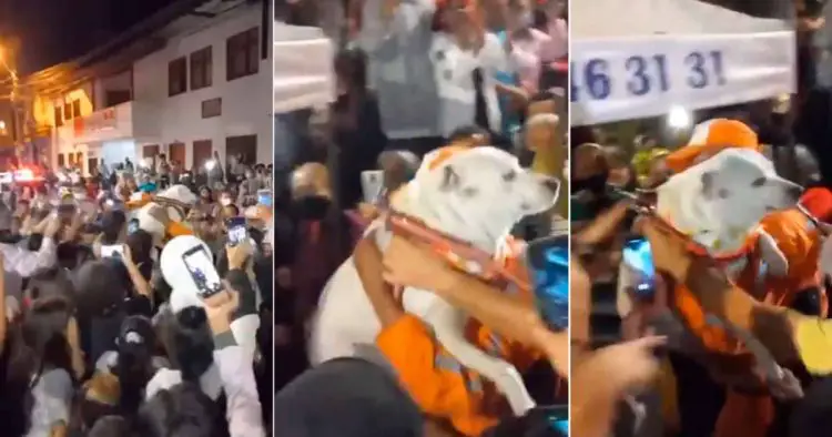 Uma cidade inteira se junta para comemorar o retorno de um cachorrinho desaparecido cidade-colombiana-faz-festa-para-comemorar-o-retorno-de-cachorro