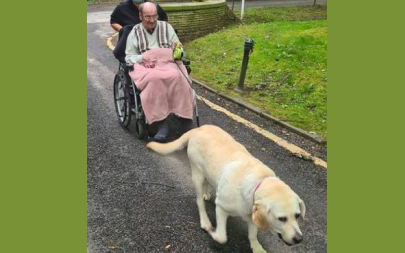 homem-internado-reencontra-cachorro