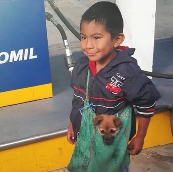 Menino é flagrado carregando o cãozinho de um jeito adorável para não abandoná-lo Menino é flagrado carregando o cãozinho de um jeito adorável para não abandoná-lo