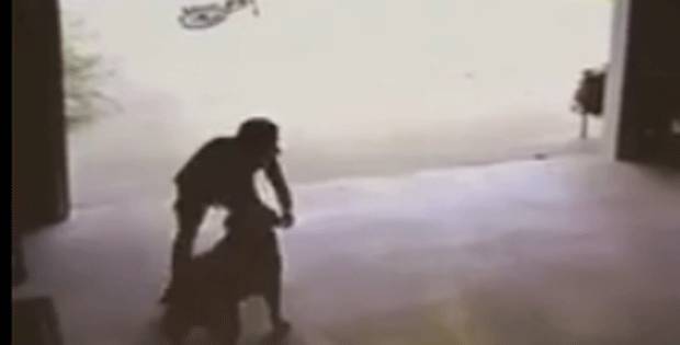 Menino foi flagrado invadindo garagem do vizinho para "roubar" abraços da cachorra menino-invade-garagem-do-vizinho-para-abracar-cachorro