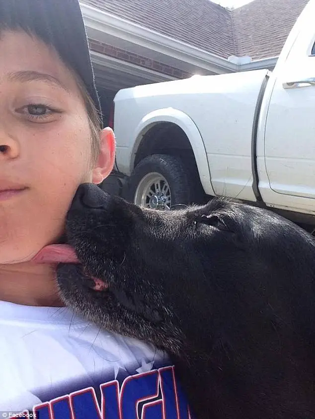 Menino foi flagrado invadindo garagem do vizinho para "roubar" abraços da cachorra menino-invade-garagem-do-vizinho-para-abracar-cachorro