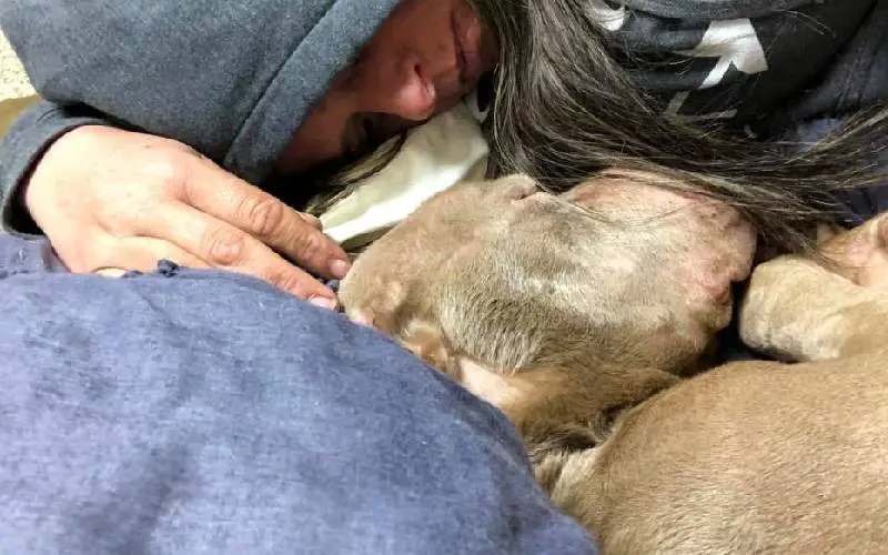 mulher-passa-a-noite-em-abrigo-com-cachorro-em-estado-terminal