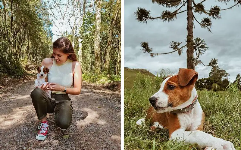 Mulher se desculpa pelo barulho do cachorro e recebe uma resposta fofa mulher-se-desculpa-pelo-barulho-do-cachorro-e-recebe-uma-resposta-fofa