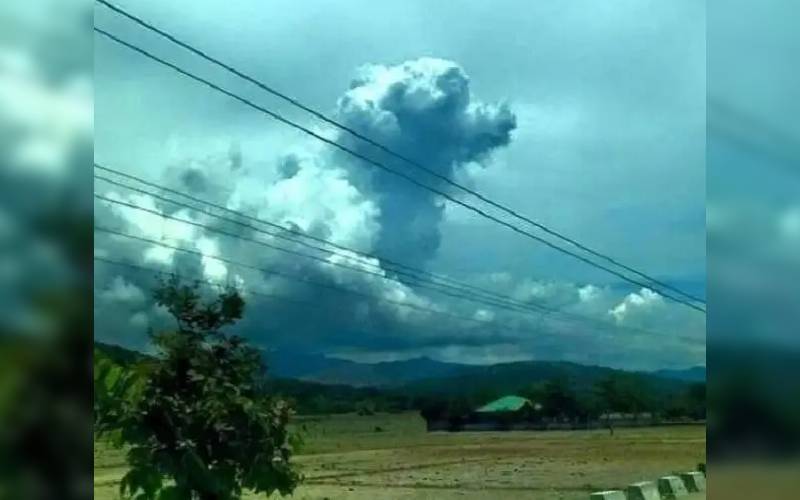 Os cães vão para o céu? os-caes-vao-para-o-ceu