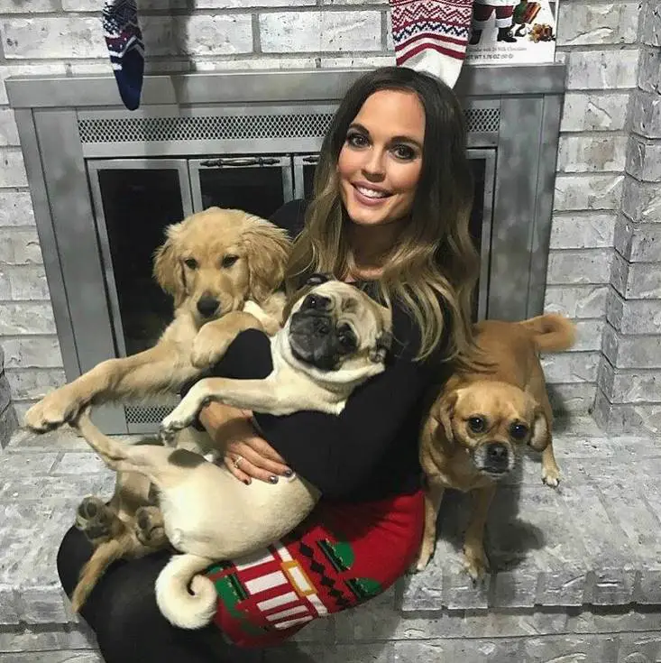 Pesquisa sugere que humanos preferem cachorros a crianças pesquisa-sugere-que-humanos-preferem-cachorros-a-criancas