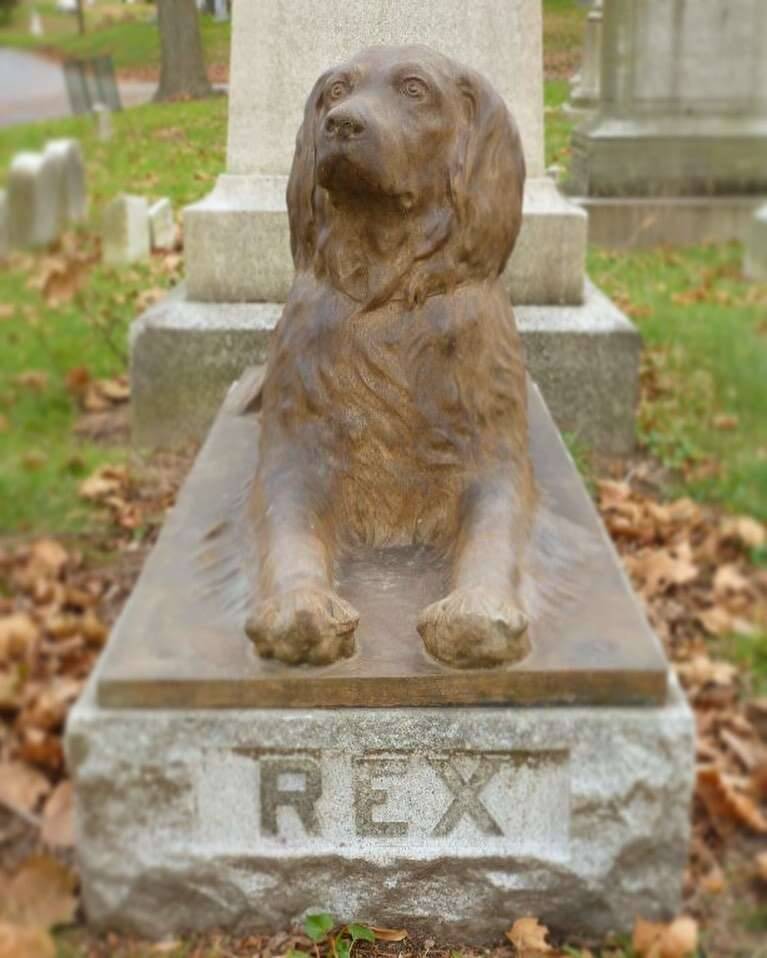 As pessoas estão deixando gravetos no túmulo de cachorro que viveu há mais de 100 anos