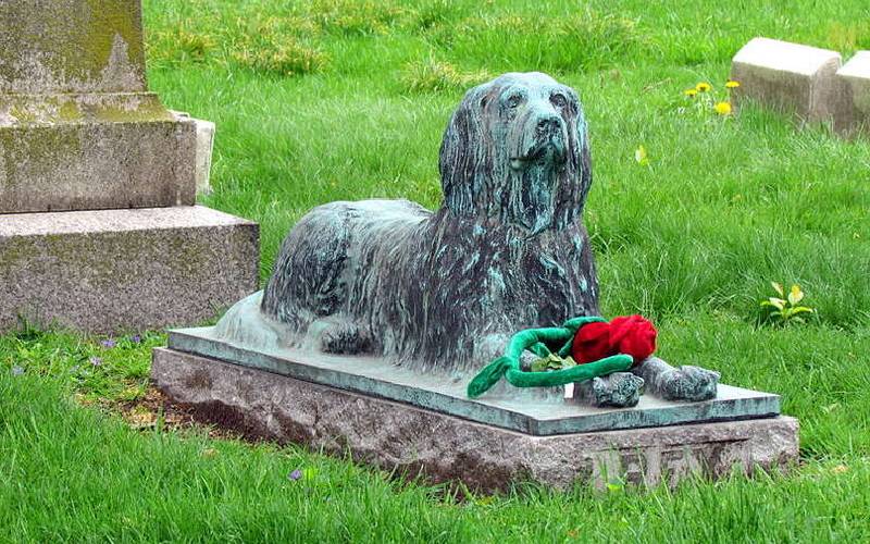 As pessoas estão deixando gravetos no túmulo de cachorro que viveu há mais de 100 anos