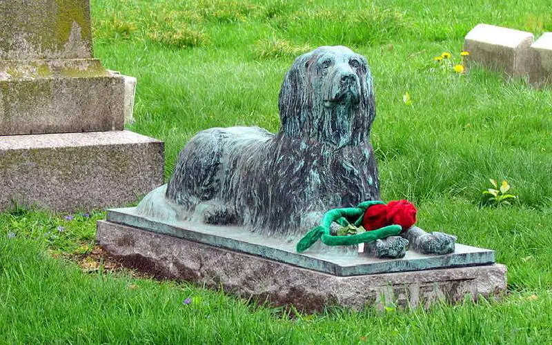 As pessoas estão deixando gravetos no túmulo de cachorro que viveu há mais de 100 anos As pessoas estão deixando gravetos no túmulo de cachorro que viveu há mais de 100 anos