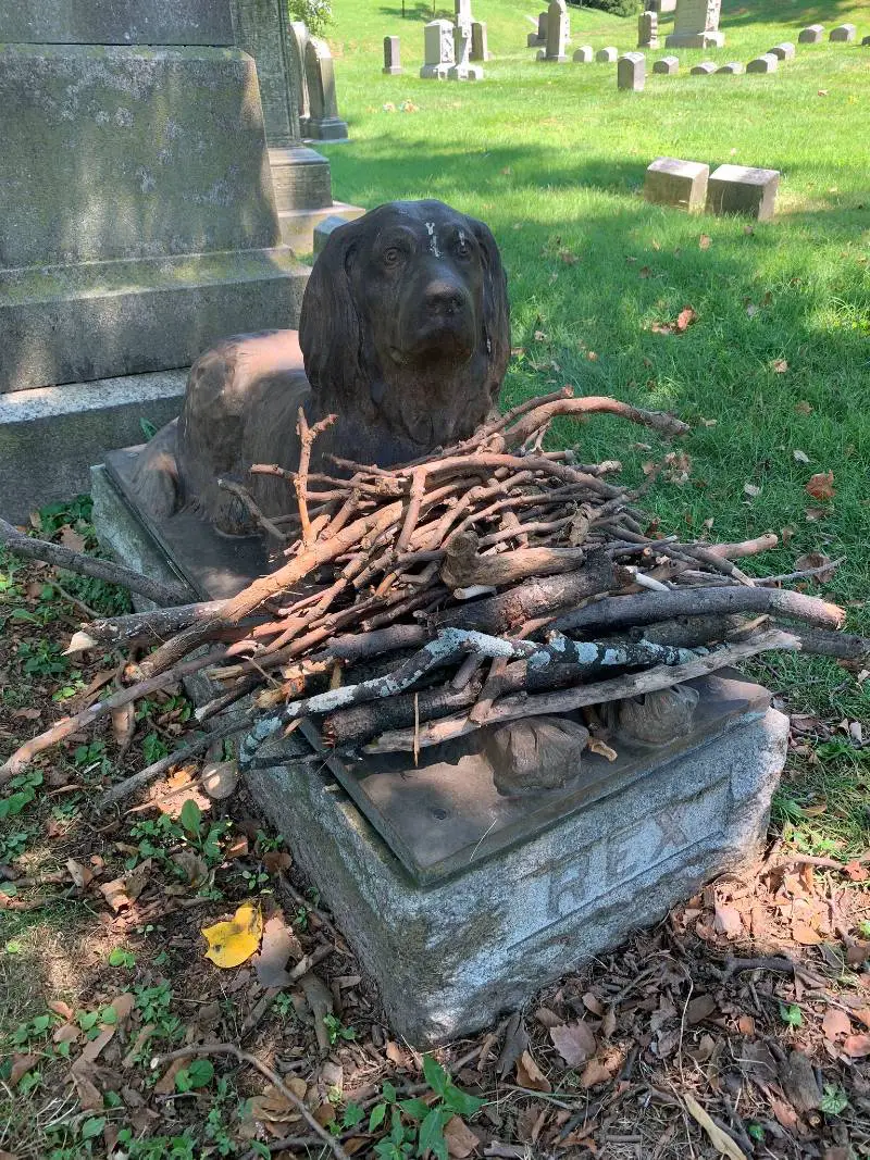 As pessoas estão deixando gravetos no túmulo de cachorro que viveu há mais de 100 anos As pessoas estão deixando gravetos no túmulo de cachorro que viveu há mais de 100 anos