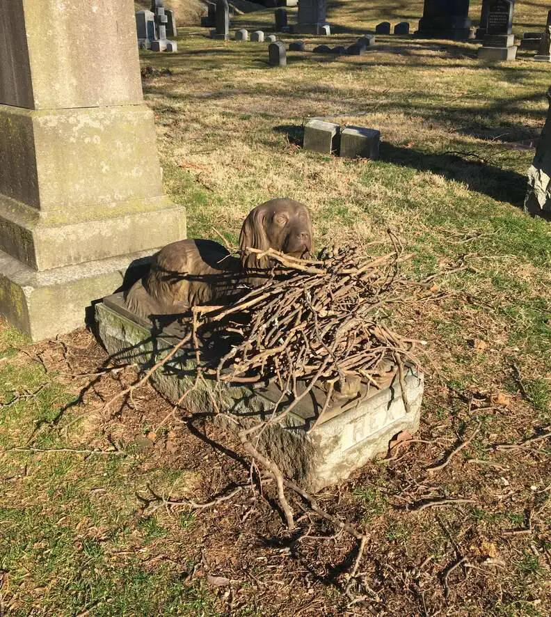 As pessoas estão deixando gravetos no túmulo de cachorro que viveu há mais de 100 anos As pessoas estão deixando gravetos no túmulo de cachorro que viveu há mais de 100 anos