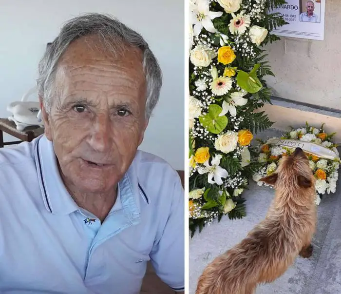 Cachorrinho caminha 3 quilômetros por dia para visitar o túmulo de seu melhor amigo cachorro-visita-tumulo-do-tutor-todos-os-dias