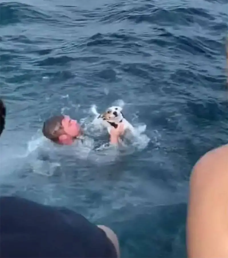 grupo-de-amigos-resgata-cachorro-que-estava-nadando-em-mar-aberto
