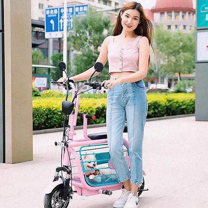 Empresa cria a Mopet, scooter elétrica para facilitar o passeio com cães e gatos mopet-a-scooter-eletrica-para-passear-com-caes