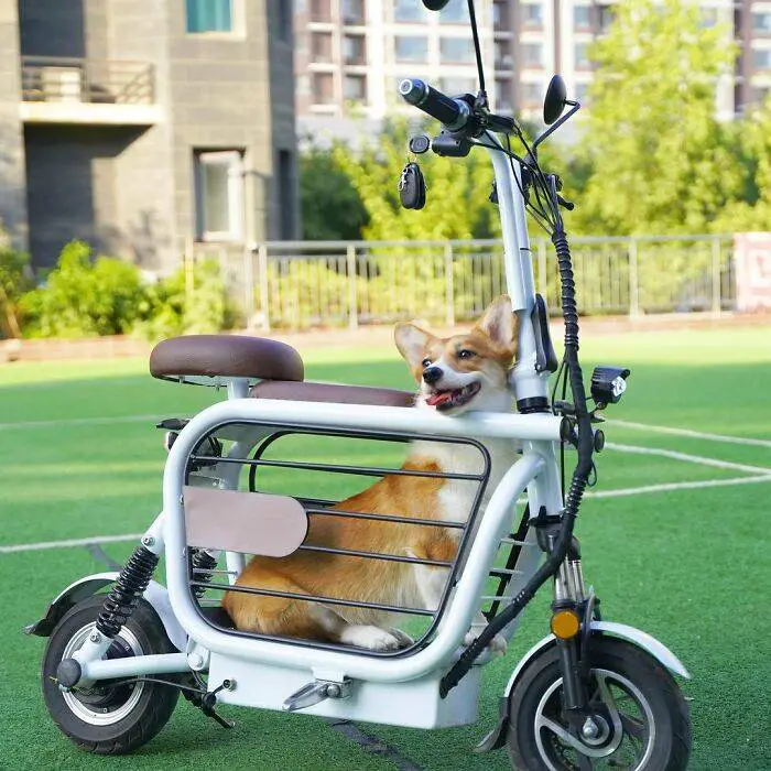Empresa cria a Mopet, scooter elétrica para facilitar o passeio com cães e gatos mopet-a-scooter-eletrica-para-passear-com-caes