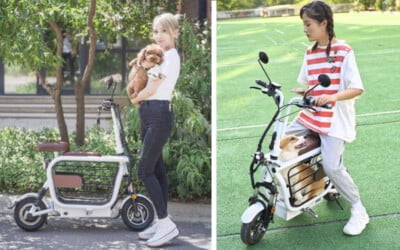 Empresa cria a Mopet, scooter elétrica para facilitar o passeio com cães e gatos