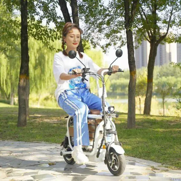 Empresa cria a Mopet, scooter elétrica para facilitar o passeio com cães e gatos mopet-a-scooter-eletrica-para-passear-com-caes