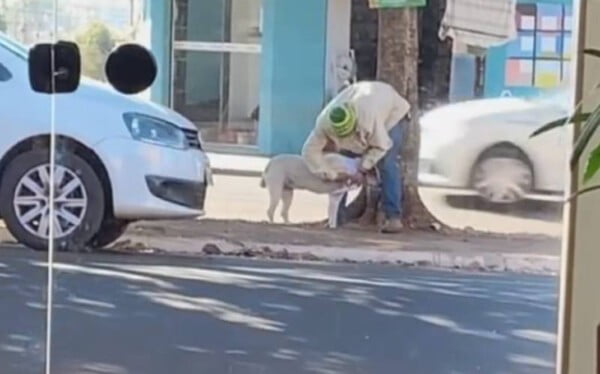 Homem se aproxima de cachorra de rua e a agasalha para protegê-la do frio com roupa de varal solidário morador-de-rua-cuida-de-cachorra-sem-teto