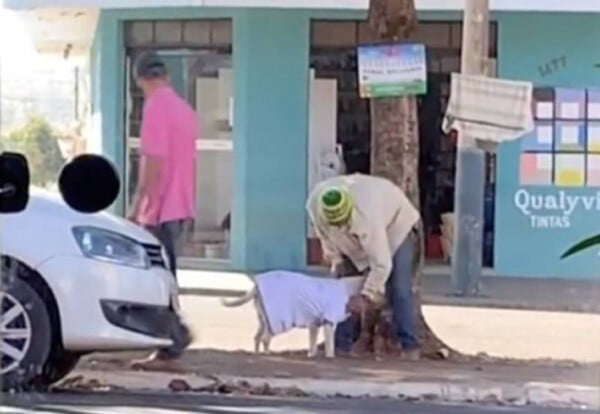 Homem se aproxima de cachorra de rua e a agasalha para protegê-la do frio com roupa de varal solidário morador-de-rua-cuida-de-cachorra-sem-teto