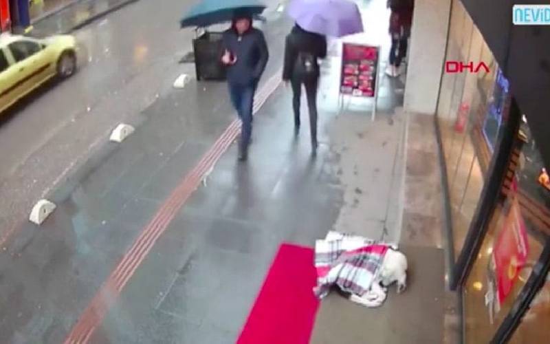 Câmera flagra mulher dando seu cachecol a um cachorro de rua em um dia frio mulher-oferece-o-proprio-lenco-para-um-cachorro
