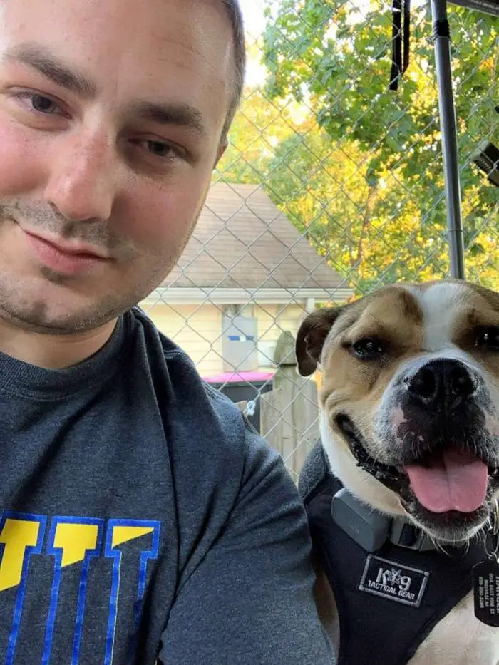 Pitbull resgatado se transforma em detetive, especializado em investigar incêndios criminosos pitbull-detetive-especializado-em-investigar-incendios-criminosos