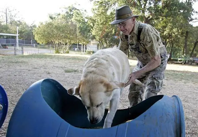 trem-para-os-cachorros-de-rua