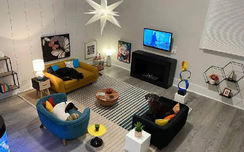 Tutor transforma um quarto de hóspedes em uma verdadeira sala de estar para seus cachorros tutor-monta-uma-sala-de-estar-para-os-cachorros