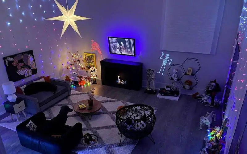 Tutor transforma um quarto de hóspedes em uma verdadeira sala de estar para seus cachorros tutor-monta-uma-sala-de-estar-para-os-cachorros