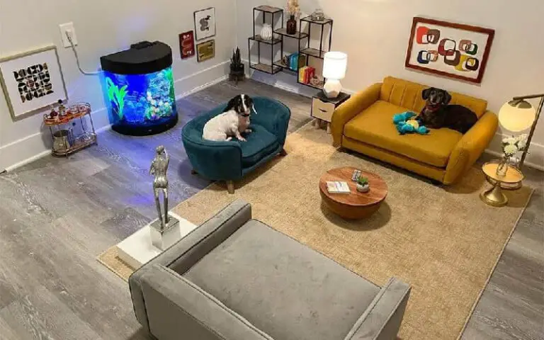 Tutor transforma um quarto de hóspedes em uma verdadeira sala de estar para seus cachorros