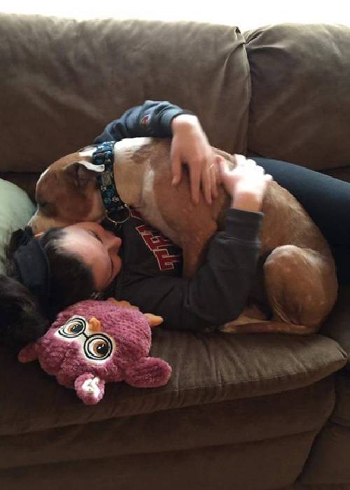 Cachorro é resgatado de uma jaula e se agarra a sua nova mãe para que ela não o deixe cachorro-e-resgatado-de-uma-jaula
