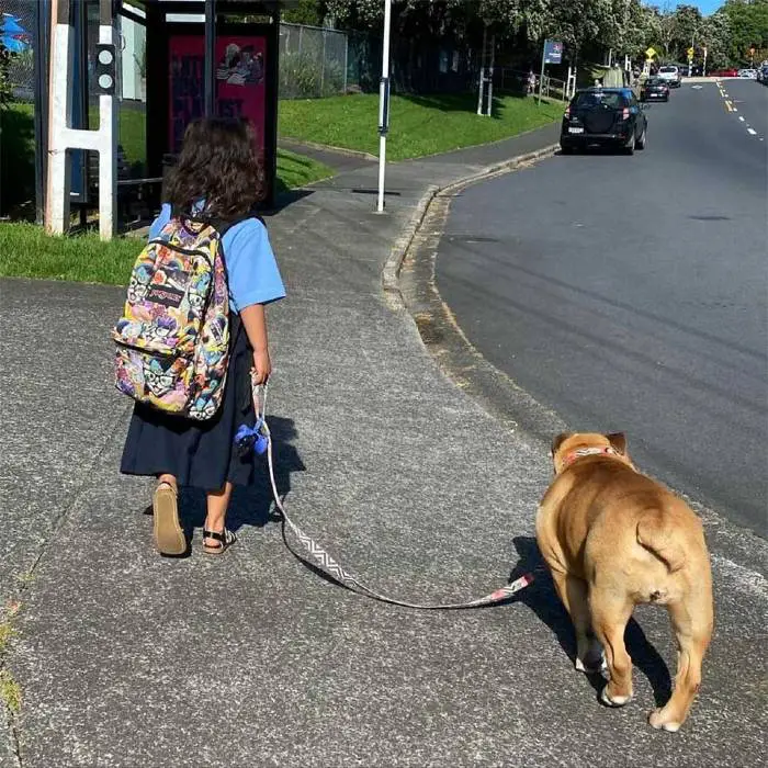 cadela-e-a-melhor-amiga-da-irma-humana