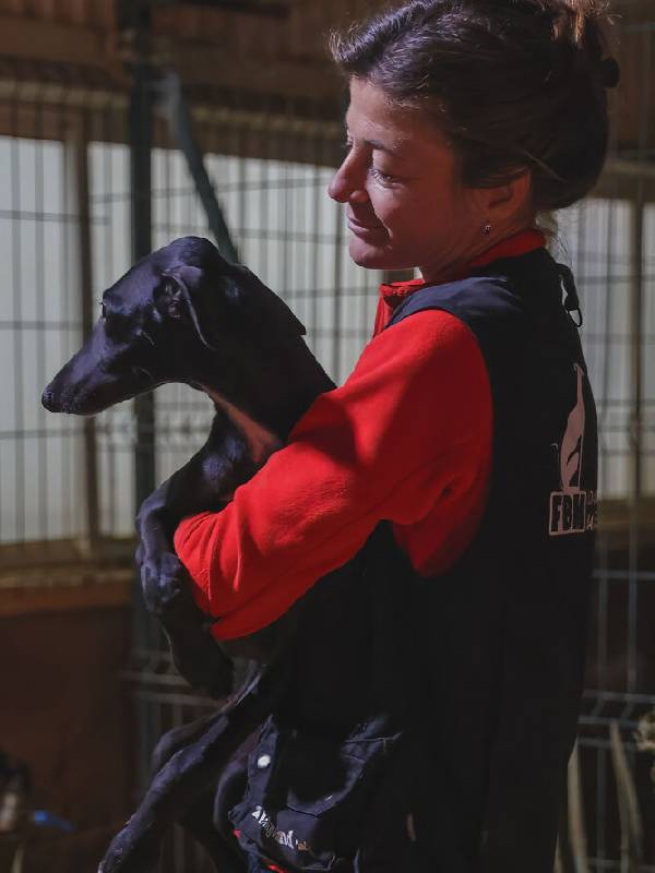 fotógrafo conhece abrigo e volta para casa com alguns cachorros