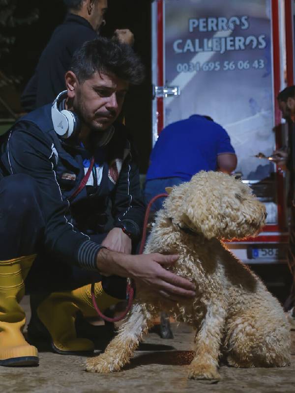 fotógrafo conhece abrigo e volta para casa com alguns cachorros