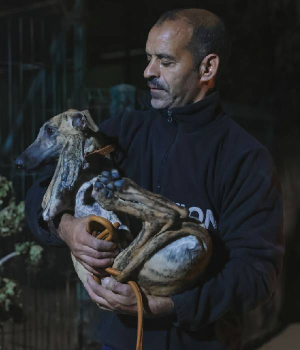 fotógrafo conhece abrigo e volta para casa com alguns cachorros