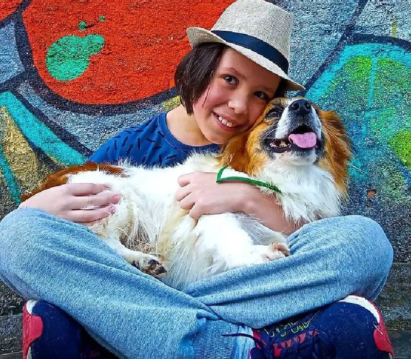 Menino dá banho em cães abandonados para aumentar as chances de adoção menino-da-banho-em-caes-abandonados-para-aumentar-as-chances-de-adocao