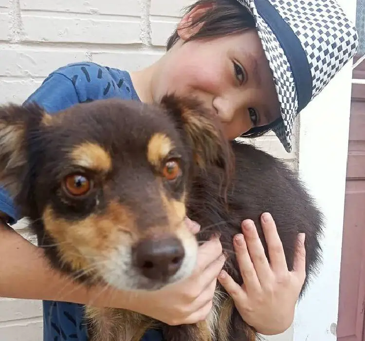 Menino dá banho em cães abandonados para aumentar as chances de adoção menino-da-banho-em-caes-abandonados-para-aumentar-as-chances-de-adocao