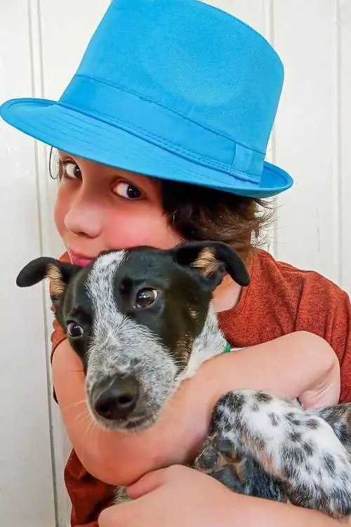 Menino dá banho em cães abandonados para aumentar as chances de adoção menino-da-banho-em-caes-abandonados-para-aumentar-as-chances-de-adocao