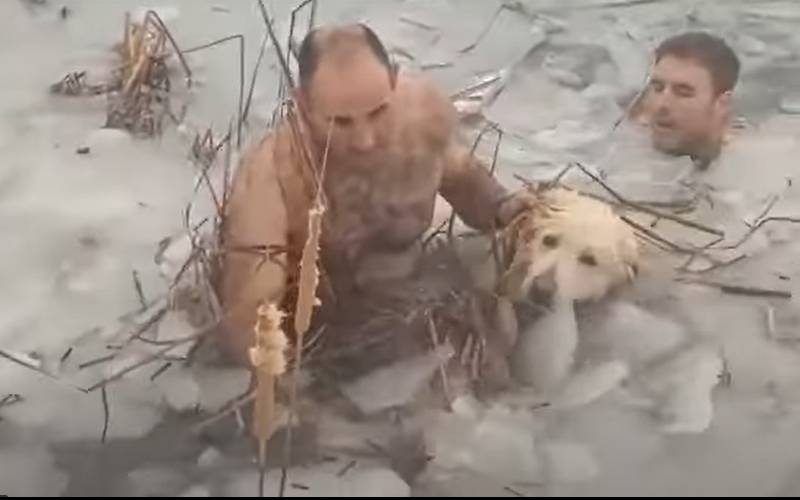 Dois policiais salvam a vida de um cachorro que estava prestes a se afogar em um lago congelado policiais-salvam-cachorro-em-lago-congelado