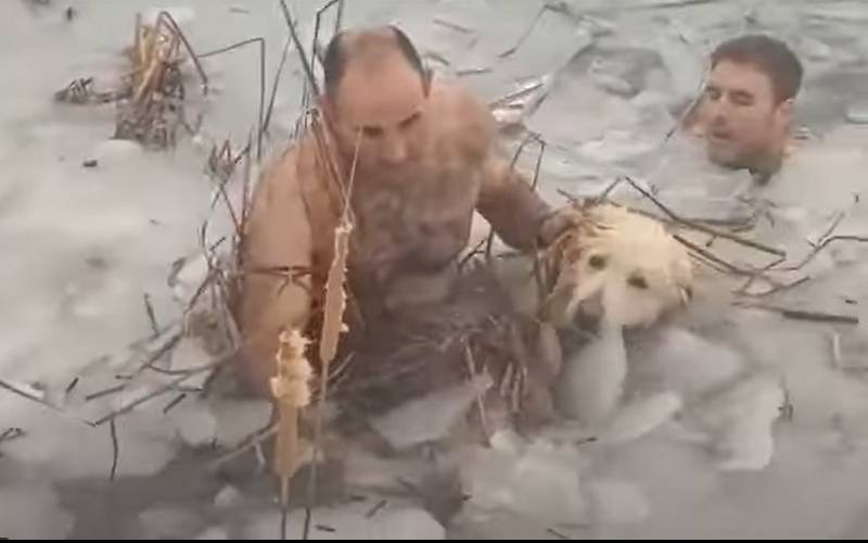 policiais-salvam-cachorro-em-lago-congelado