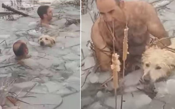 policiais-salvam-cachorro-em-lago-congelado